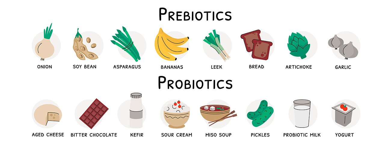 Troubles digestifs, probiotiques et prébiotiques